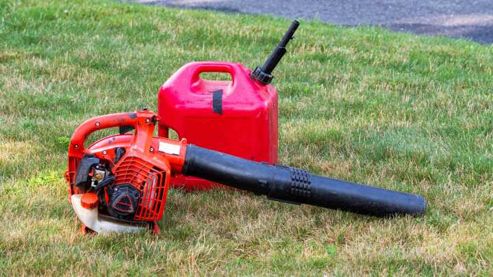 Gas-powered leaf blowers bans continue across US. See where.
