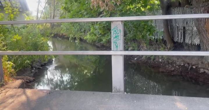 Missoula woman found in irrigation ditch died from accidental drowning