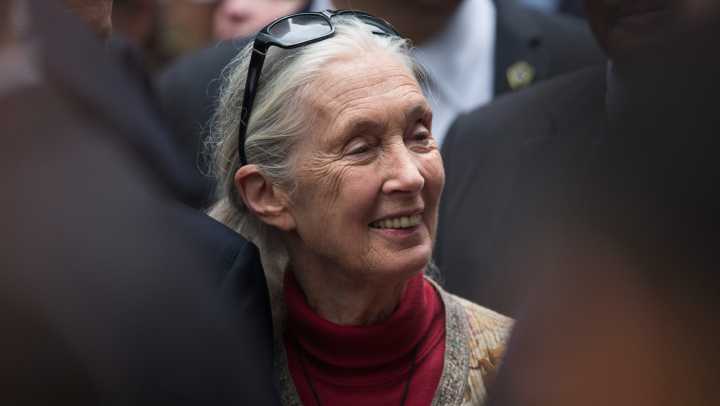 Jane Goodall, dies at 91; a look at her Reno