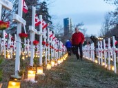 Brookman: Field of Crosses a stark reminder of loss and fragile democracy