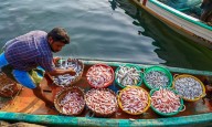 Union MoS George Kurian urges fisheries workers to register under NFDP