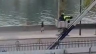 Video appears to show thieves escaping Louvre
