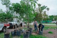 Avanza plan de reforestación; se han plantado más de 19 mil árboles en Guadalajara
