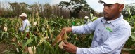 Presidente de Fedeagro asegura  que lluvias en el país afectaron el capital de los agricultores