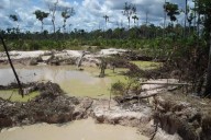 SOS Orinoco advierte auge de minería ilegal en Bolívar y 40 muertes en 2025