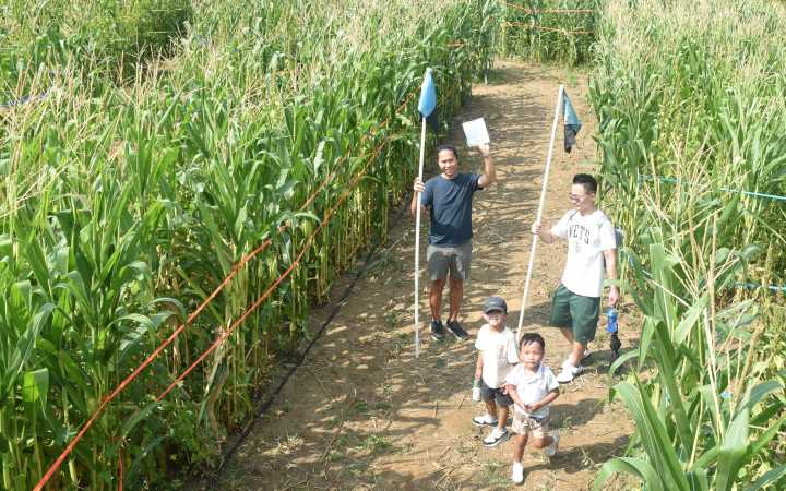 The Amazing Maize Maze at Queens County Farm Museum: Time, date, prices and theme for 2025