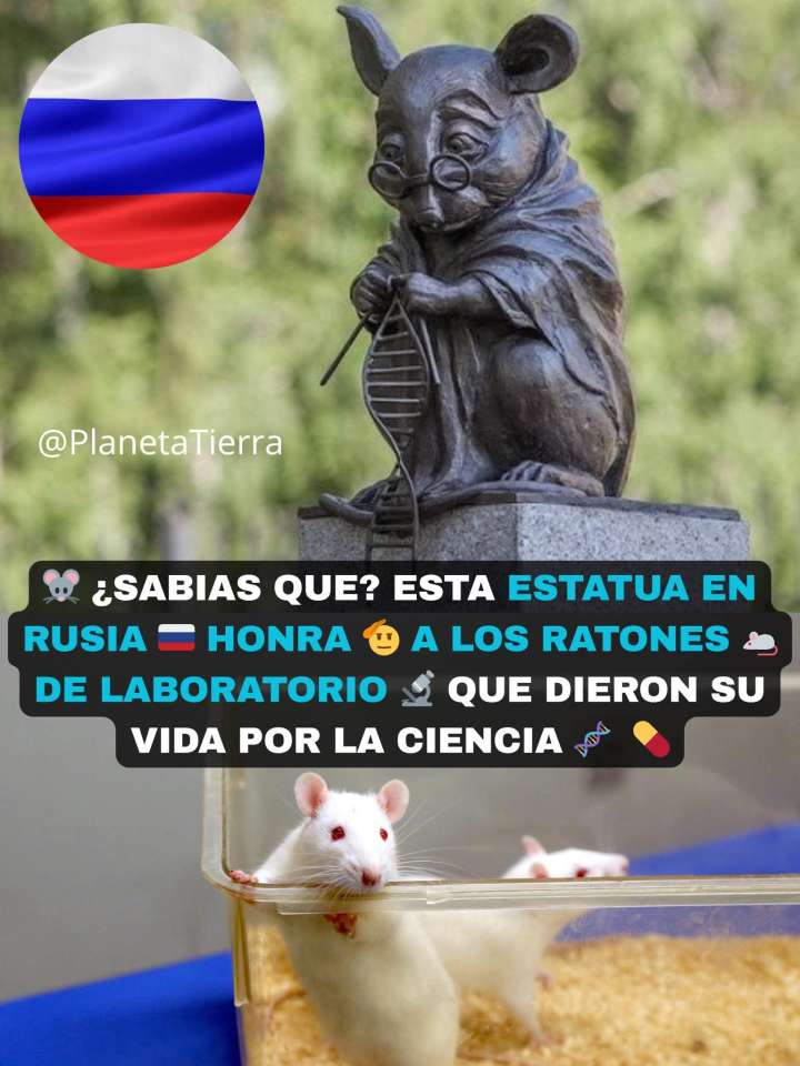 MONUMENTO AL RATON DE LABORATORIO