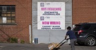 Conservatives pitch training reform to address high youth unemployment