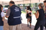 Esterilizan a 48 mascotas en jornada de salud en Labor de Terrazas