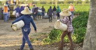 Piden fortalecer protección a migrantes en redadas en Estados Unidos