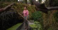 Women take over ancient Aztec farms in Mexico to save vanishing ecosystems