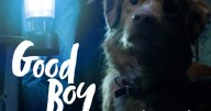Horror movies for the dogs: NMC teacher composes score for dog