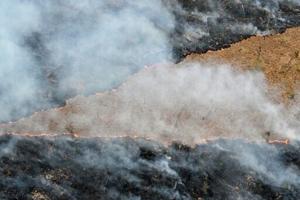 Global goal to end deforestation nowhere near being met: experts