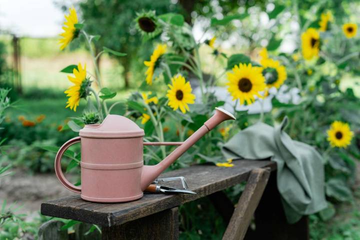 5 Things You Should Do in October to Keep Your Perennials Safe Through Winter