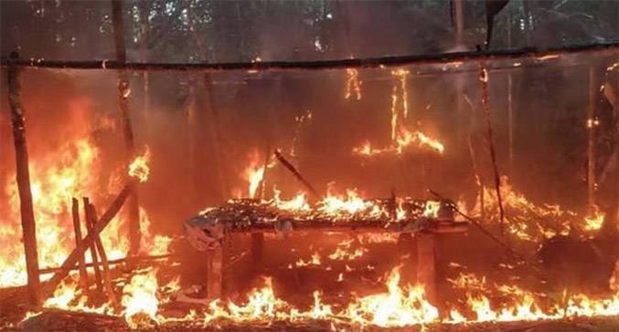 Operativo Relámpago: Desmantelan Campamento de Minería Ilegal en el Corazón del Amazonas