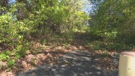 Cleveland police investigating alleged sexual assault of 5