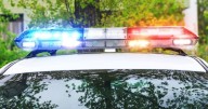 18-month-old dead after being struck by car in Mount Solon driveway