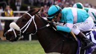 ‘World-class mare’ Moira suddenly retired days before Caulfield Cup