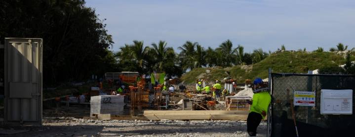 Florida Endangered Species Suit Compounds Trump Rollback Threats