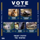 CT zoo holding its own mayoral election