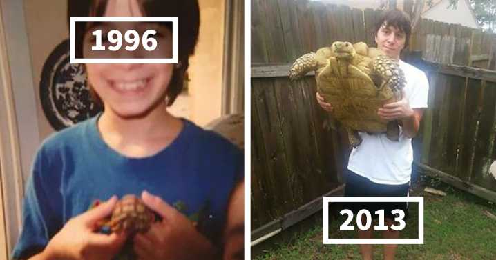 We’re Not Crying, You’re Crying: 48 People Share Adorable Then Vs. Now Pics With Their Pets