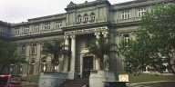 El hospital Pedro de Elizalde tendrá el primer microbosque nativo urbano del país: cómo fue creado