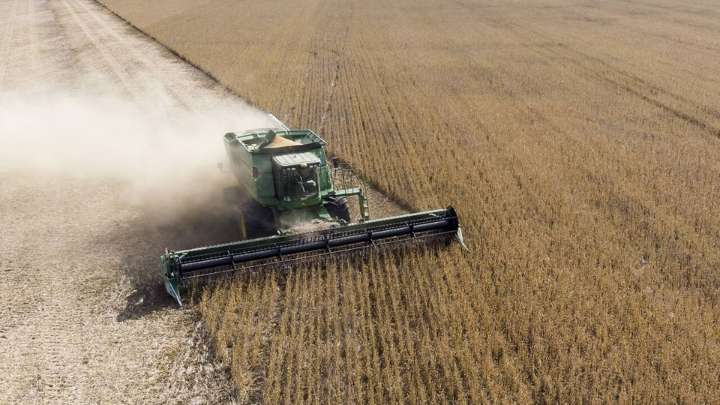 Menos dólares por exportaciones