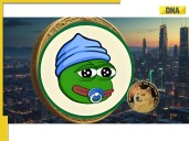DOGE $0.7 Unlikely Soon; LILPEPE Bull Charge Predicted