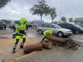 La lluvia deja casi 15 litros por metro cuadrado en Jerez y alguna caída de ramas