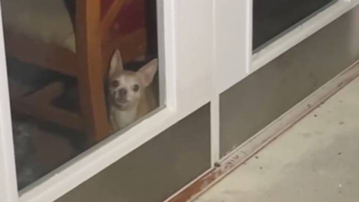 Explorers Hear Barking In An Empty Illinois Hospital And Witness A Scene They Can’t Explain