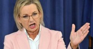 Lost touch: Ley demands Liberals reconnect with voters