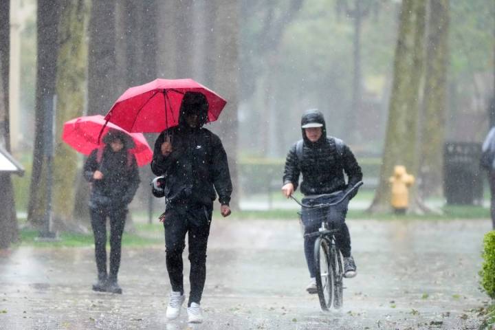 Ocean water quality rain advisory issued for all L.A. County beaches