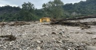 Profepa realizará revisión de ejemplares en Parque Animalia en Puebla tras fuga y muerte de tigre de bengala