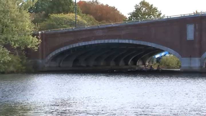 Head of the Charles Regatta: Cyanobacteria on Charles River