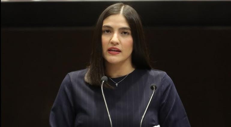 Reforma destruye la esencia del amparo: diputada Paloma Domínguez