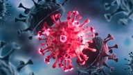El fantasma de la pandemia: apareció una nueva variante de Covid en Estados Unidos y Reino Unido