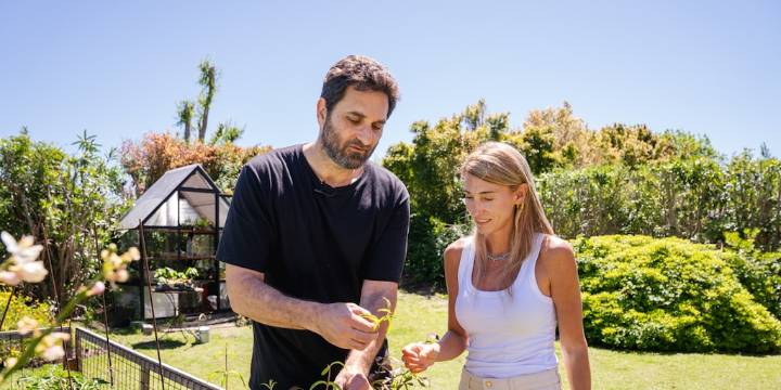 Tomillo, romero y manzanilla: cómo crear un jardín de plantas aromáticas en casa