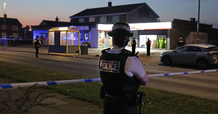 Teen 'stabbed 15-year-old boy 11 times at bus stop before turning knife on girlfriend'