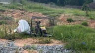 Mississippi Driver Pulls Over For A Mysterious Crate And Uncovers A Shocking Surprise