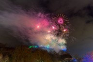 Best advice for pet owners from Edinburgh vets