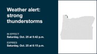 Look for pea-sized hail with thunderstorms in Lower Columbia River Saturday – gusts up to 50 mph