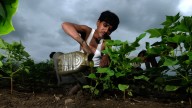 PM Kisan Samman Nidhi Yojana: Application process, eligibility, benefits & more