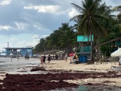 Reportan hoteleros del centro de Playa del Carmen leve repunte en ocupación