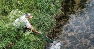 Linn County is completing 4 water studies. What are they all for?