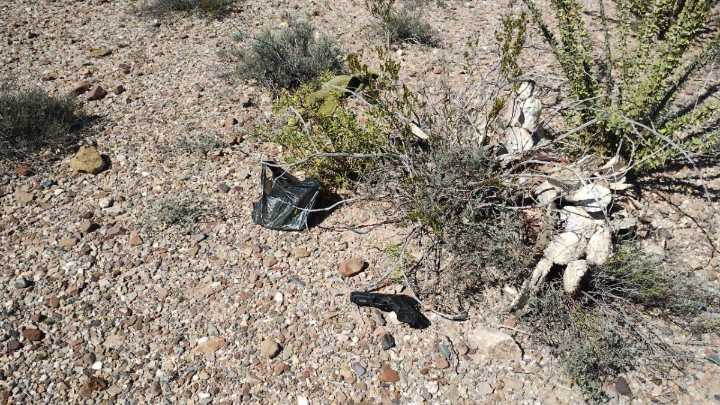 Asegura SSPE armas de fuego y municiones en operativo en Ojinaga