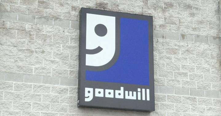 In the 608: Goodwill offers budget-friendly Halloween costume ideas for 2025