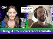 Can AI really help us understand our pets?
