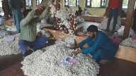 Group of silkworm rearers to visit Himachal under inter