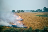 Floods cut farm fires, but Delhi’s air still suffocates post Diwali