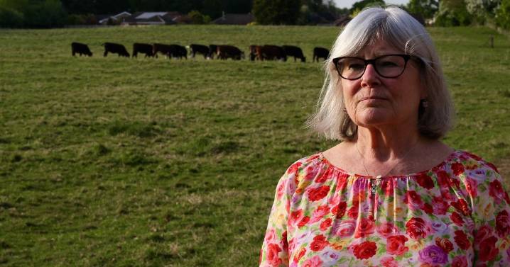 Plea to protect 'precious green spaces' after housing plans approved